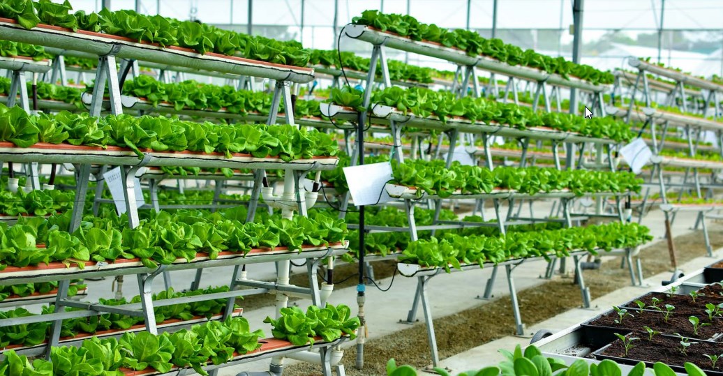 Laboratorio Agroalimentare e Sostenibilità creativo 1 Strumenti di misura per analisi chimica alimentare